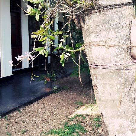 Serene Niche Mirissa Ngoại thất bức ảnh