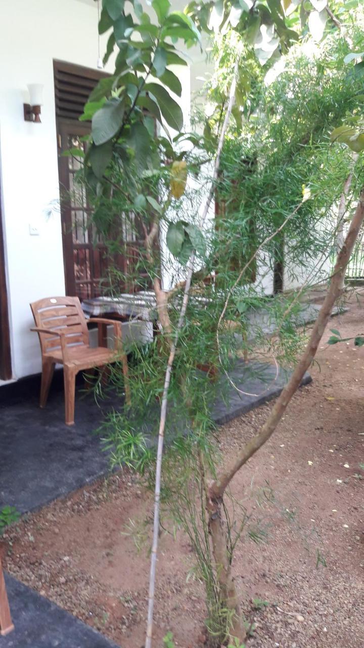 Serene Niche Mirissa Ngoại thất bức ảnh