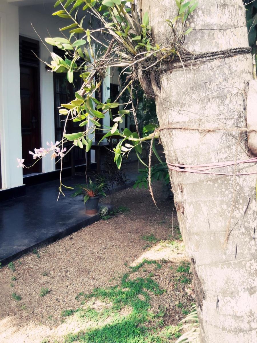 Serene Niche Mirissa Ngoại thất bức ảnh